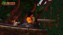 Donkey Kong Country Tropical Freeze (Nintendo Switch) 456