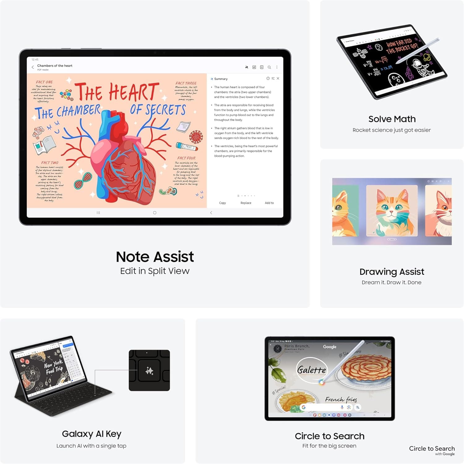 تبلت Samsung Galaxy Tab S10+، تبلت هوش مصنوعی، تبلت Android، وای‌فای، 12GB RAM، 256GB Storage، صفحه‌نمایش AMOLED، ضد بازتاب، بادوام، همراه با S Pen، رنگ Moonstone Gray (نسخه UAE) رنگ Moonstone Gray 12GB | 256GB دستگاه مستقل (نسخه UAE) وای‌فای 436