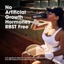 پودر پروتئین وی 100% Gold Standard Optimum Nutrition (ON) با منبع اصلی Isolate، 24 گرم پروتئین برای حمایت و ریکاوری عضلات - طعم Chocolate Malt، وزن 2 Lbs، 29 سروینگ (907 گرم) 1709