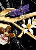 ادو پرفیوم زنانه Yves Saint Laurent Libre Intense، ۹۰ میلی‌لیتر 2714