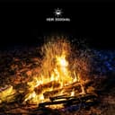 تلویزیون TCL 75Q7C سایز 75 اینچ Smart TV 4K QD-Mini LED با رنگ‌های زنده Quantum Crystal و HDR با روشنایی 3000nits مناسب برای Gaming، مجهز به Google TV، نرخ نوسازی Native 144Hz، سیستم صوتی توسط Bang & Olufsen، پشتیبانی از Dolby Atmos، قابلیت Game Master (مدل 2025) 75 اینچ سری Q7C با QD Mini LED 4K 2829