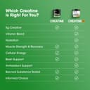 پودر Micronized Creatine Monohydrate از Optimum Nutrition (ON) برای حمایت از عضله‌سازی - بدون طعم، 300 گرم، 60 وعده - بسته‌بندی ممکن است متفاوت باشد 300 گرم 3498