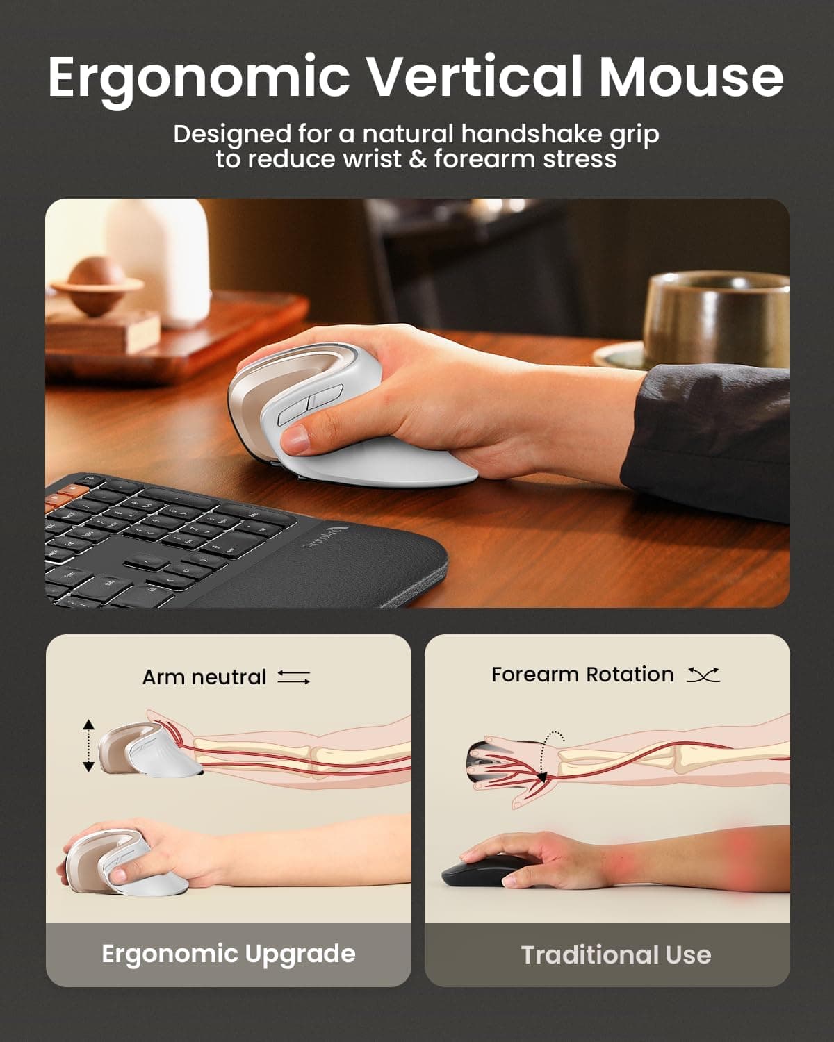 ماوس ارگونومیک ProtoArc، مدل EM11 NL، ماوس عمودی بی‌سیم بلوتوثی قابل شارژ، با قابلیت اتصال به 3 دستگاه مختلف برای Computer/PC/Laptop، ماوس اپتیکال 2.4GHz برای Windows و Mac OS، رنگ سفید طلایی 3564