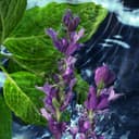 ادو تویلت مردانه Davidoff Cool Water حجم 125 میلی‌لیتر 692