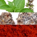 ادو تویلت مردانه Davidoff Hot Water حجم 110 میلی‌لیتر 750